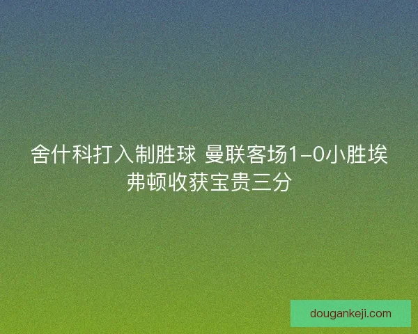 舍什科打入制胜球 曼联客场1-0小胜埃弗顿收获宝贵三分